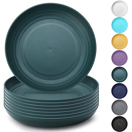 yangrui Reusable Plastic Plates Set of 8, Unbreakable 9 Inch Plastic Lunch Plates