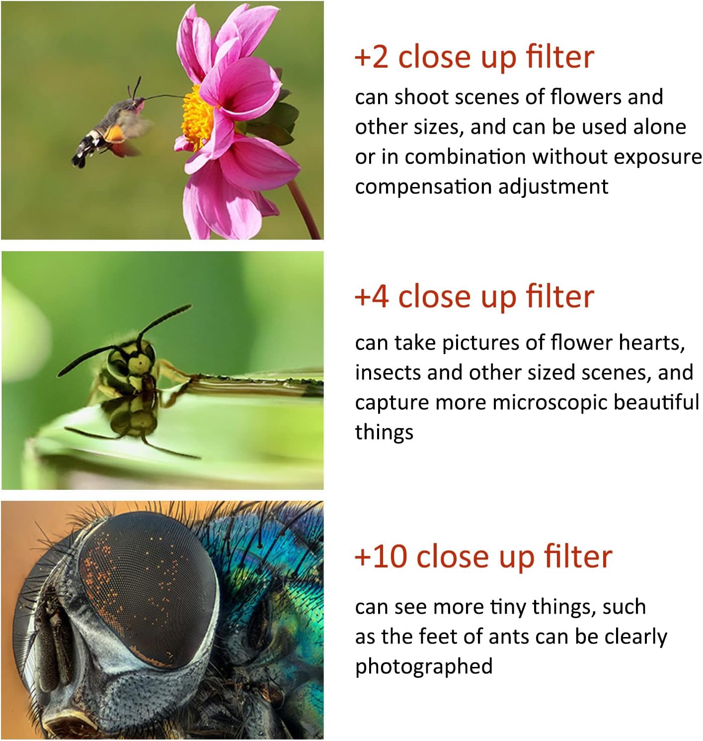 37mm Macro Close Up Filter Set, Plus 1/2/4/10 Macro Filter Mobile Phone Lens Filter for Mobile Phones, Close Up Lens Filter Kit Set Accessory