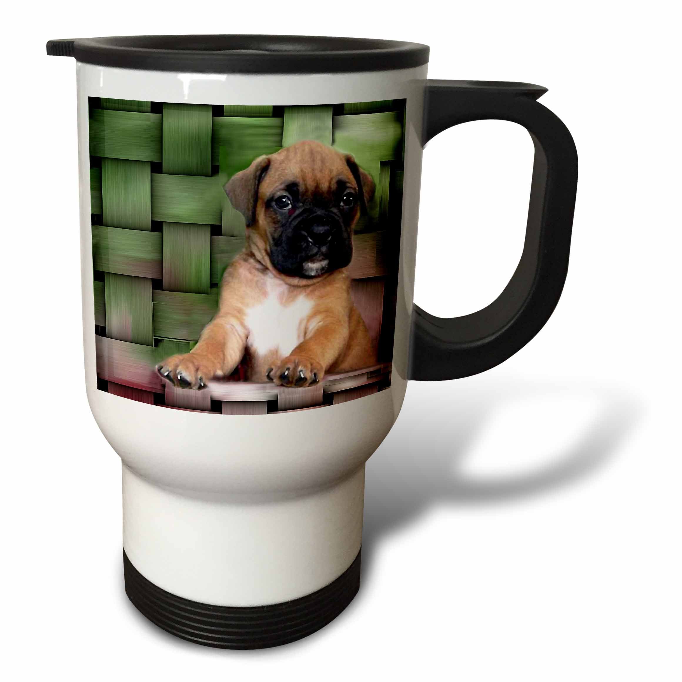 3dRose LLC. tm_4144_1 Mugs, White