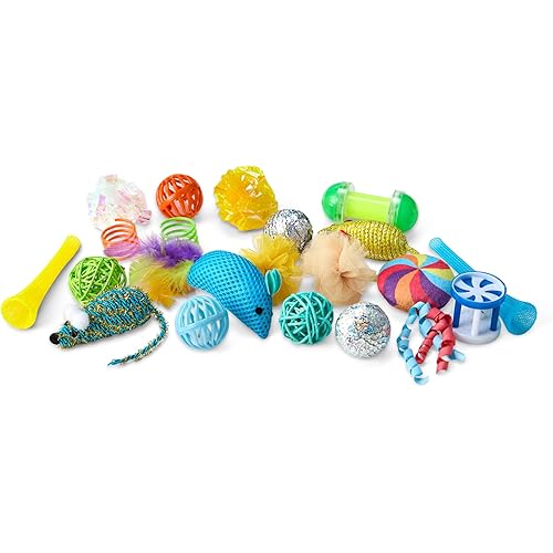 Amazon Basics Cat Toy Set, 20 Piece Variety Pack with Teaser, Ball, Feather, Spring
