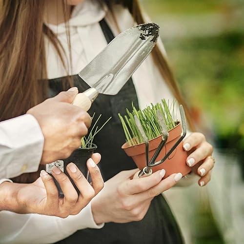 Miniatura 8 de Juego de herramientas de jardinería de 10 piezas, juego de herramientas de jardín de acero inoxidable resistente, herramientas de mano con bolsa