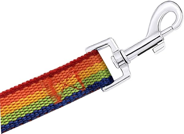 PETGOGO 15ft 20ft 30ft 40ft 50ft Long Dog/Puppy Lead Obedience Recall Training Dog Leashes for Small Medium Dogs Camping, Training, Play, or Backyard (20 FT, Rainbow) - 4