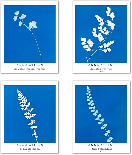 Berkin Arts Wall Art Unframed Prints Giclee Art Paper Set of 4, 8x10 inch Flower Artwork Medium Size, Livingroom Decoration Botanical Blue Minimalist Plant Illustrations Anna Atkins Posters