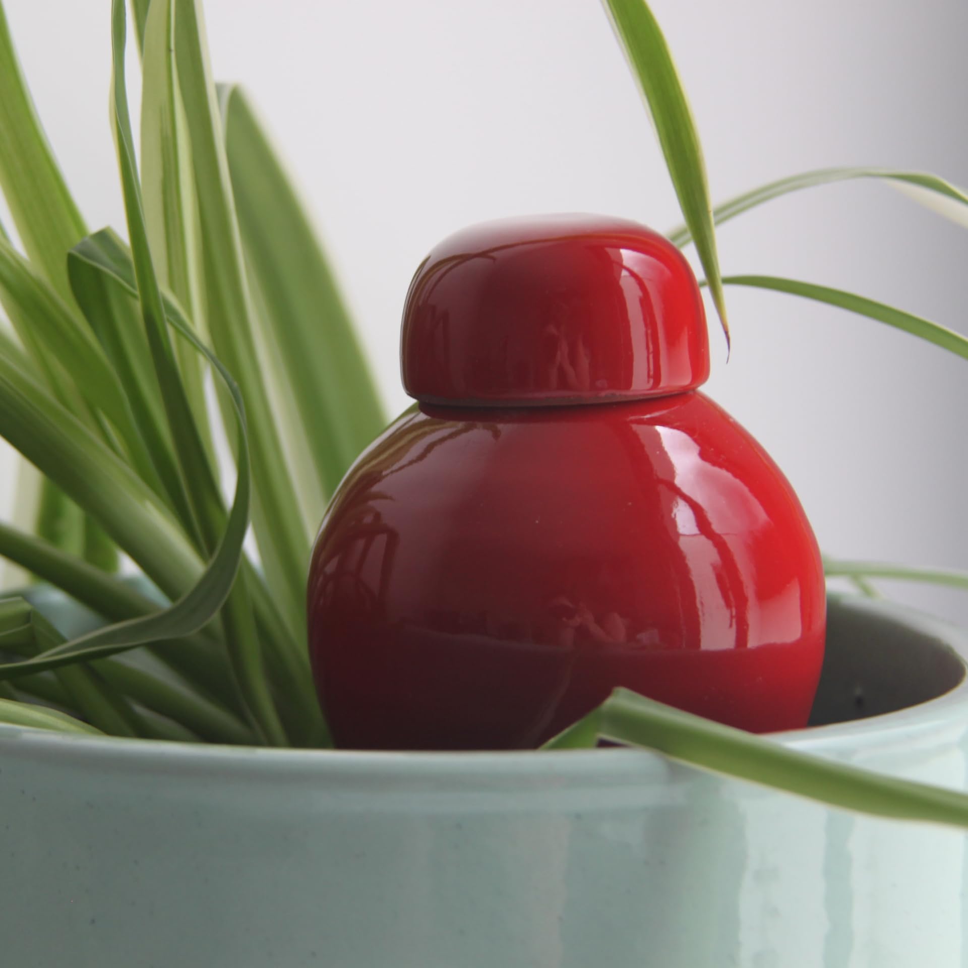 Coffret Ollas à Planter Décoré — Mini Olla 25 cl + Olla Rouge 40 cl + Olla Blanche 40 cl — Plantes d’Intérieur et Aromatiques — Fabrication Artisanale Française — Terre Cuite