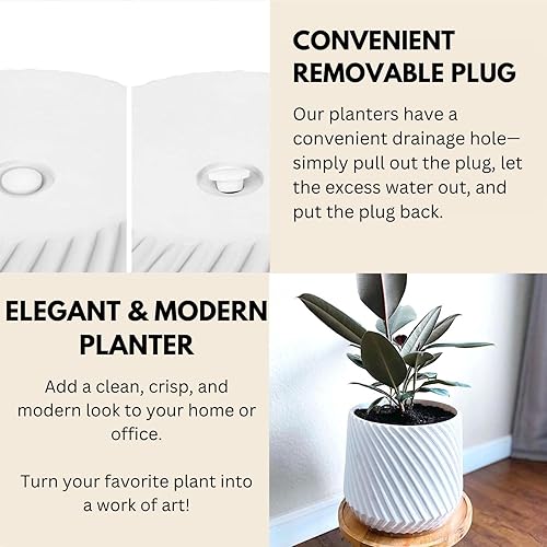 Miniatura 4 de Fox & Fern Maceta de 10 pulgadas con tapón de drenaje, maceta blanca de Polystone de alta calidad maceta moderna con textura 3D y acabado de