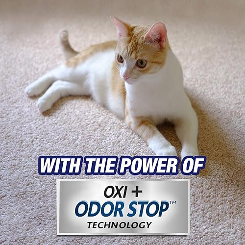 Miniatura 6 de Resolve Ultra Pet - Spray removedor de olores y manchas, limpiador de alfombras, 32 onzas (paquete de 1)