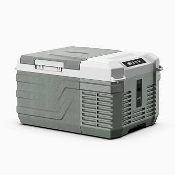 Alpicool NL9 9 L Compressor Cool Box Car 12 V 230 V Freezer Box Portable 12/24V DC and 100-240V AC for car camping fishing driving boat mini cool box portable -20 -20  [Energy Class C]