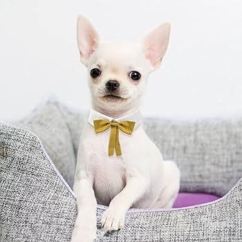 睦月】切り株付き！まっくろくろの蝶ネクタイねこちゃん形オルゴ