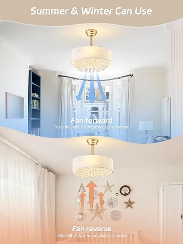 Miniatura 8 de Ventilador de techo con lámpara de cristal de 20 pulgadas con luz, ventiladores de techo boho con control remoto de luces, enjaulado de 6