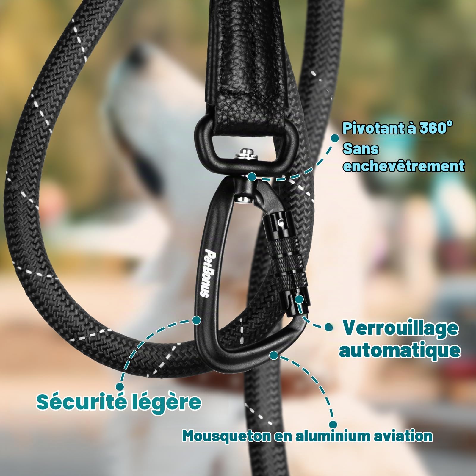 PetBonus Laisse pour Chien, 1.5m Longe pour Chien Robuste avec Mousqueton | Poignée rembourrée confortable, Réfléchissante, Nylon, Promenade, laisse d'entraînement, Adaptée Races Moyennes et Grandes