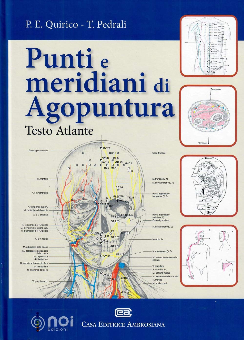 Punti E Meridiani Di Agopuntura - 4