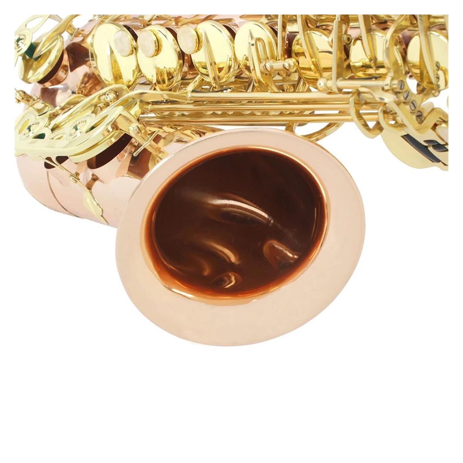 Sassofono Professionale Sassofono contralto in Mib Materiale in bronzo fosforoso Sax in Mi bemolle Strumento a fiato Sassofono con custodia Guanti Ance Cinghia