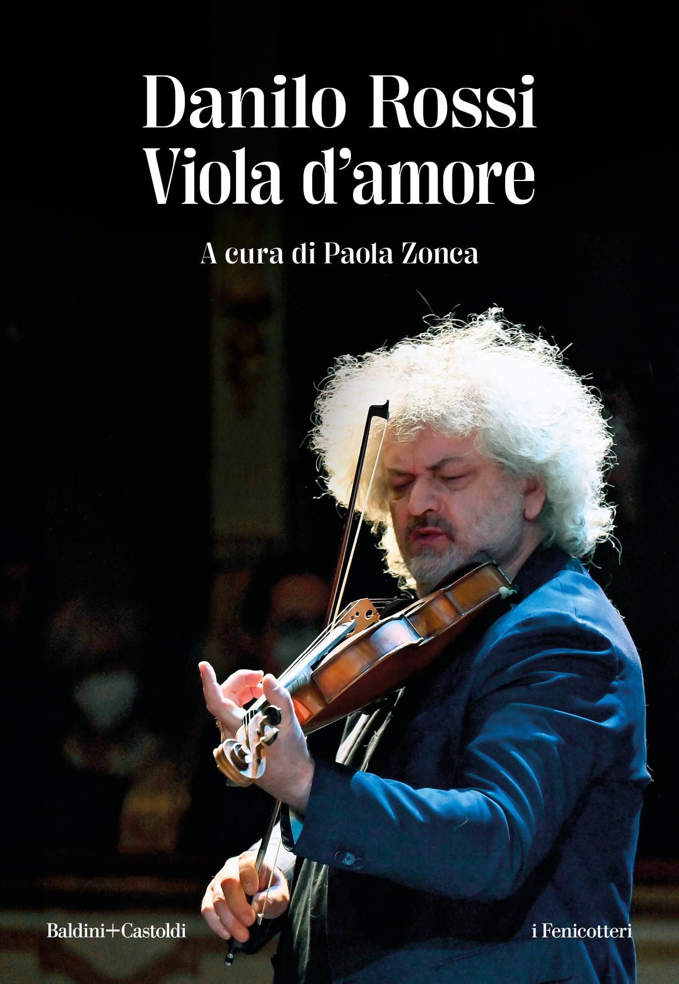 Viola D'amore - 4