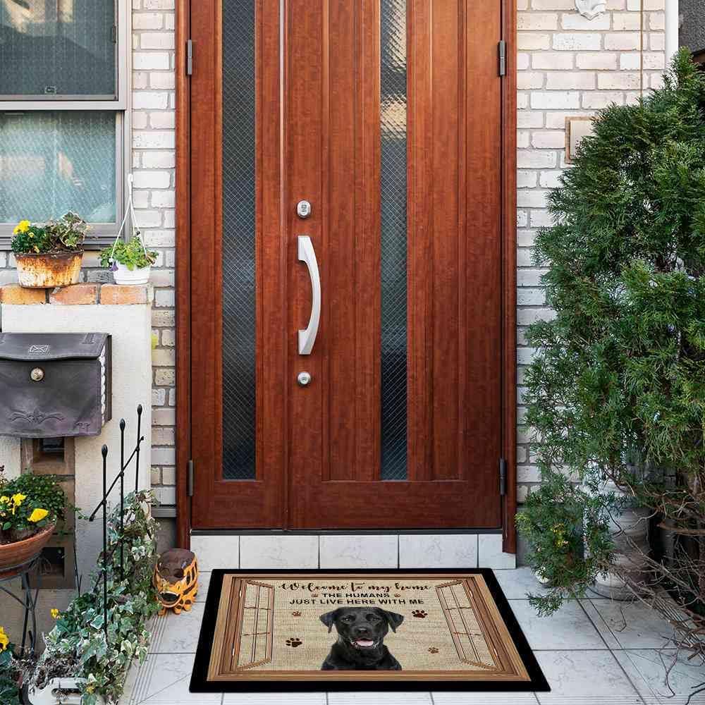 Bernese Mountain Welcome Door Mat Funny Dog by The Window Paws Floor Mat Welcome to Dog House Doormat Home Decoration 27.5 x 17.7 Inch