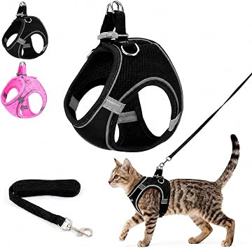Cat Harness and Lead Set, Kitten Adjustable Leash Escape Proof UK with Reflective Strips, Essentials for Cats Kitten Outdoor Travel Black, M