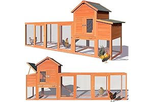 122' Chicken Coop with Nest Box: Luxurious Paradise for Your Feathered Family