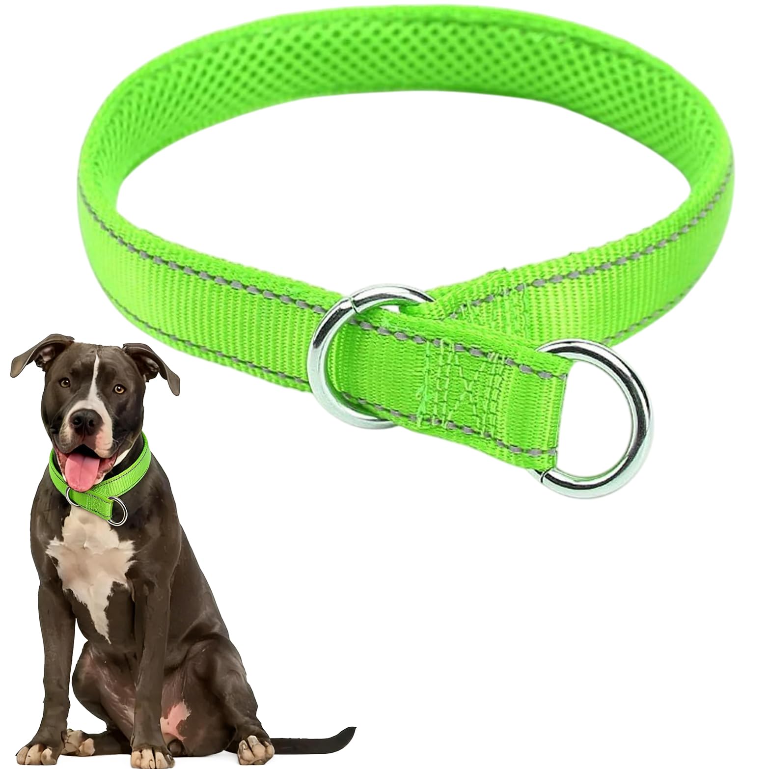 Reflective Slip Collar, Soft Nylon Padded Training Choke Collar Adjustable for Female Male Small Medium Large Dogs