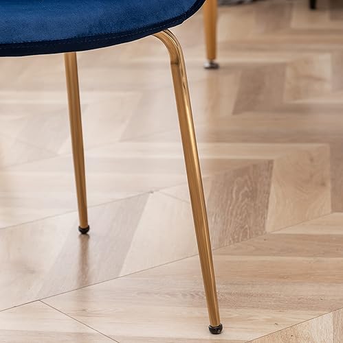 Miniatura 7 de Roundhill Furniture Aufurr - Juego de 2 sillas de comedor modernas de terciopelo, color azul