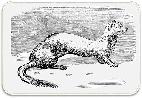 Amazon Co Jp 野生の捕食動物肉食動物フェレット動物玄関マット 屋内屋外玄関マット滑り止め 完璧な挨拶フロントドアマットの古い彫刻スタイル イラスト 60x40cm Home Kitchen