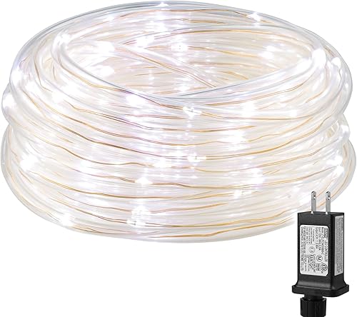 Lighting EVER Luces de Cuerda Enchufables con Tubo Pequeño, Tamaño de Lápiz de 1/4 de Pulgada, 100 Luces LED de Cuerda de Alambre de Cobre en Tubo