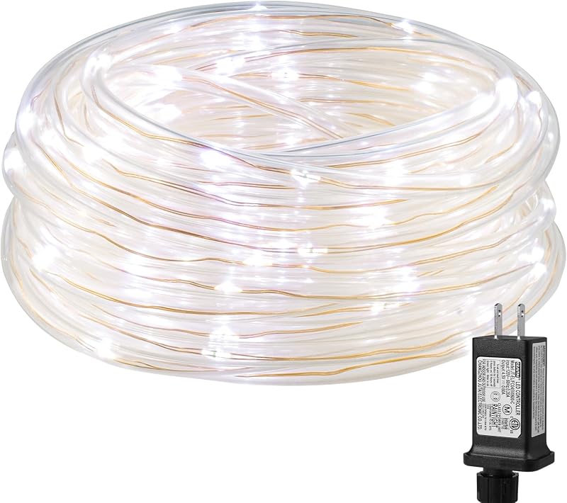 Lighting EVER Luces de cuerda fina de 33 pies para exteriores, impermeables, blanco frío de 6000 K | Tubo transparente fino como un lápiz de 1/4", 100 luces LED de alambre de cobre, decoración exterior enchufable para barandilla, cerca, balcón, no conectable