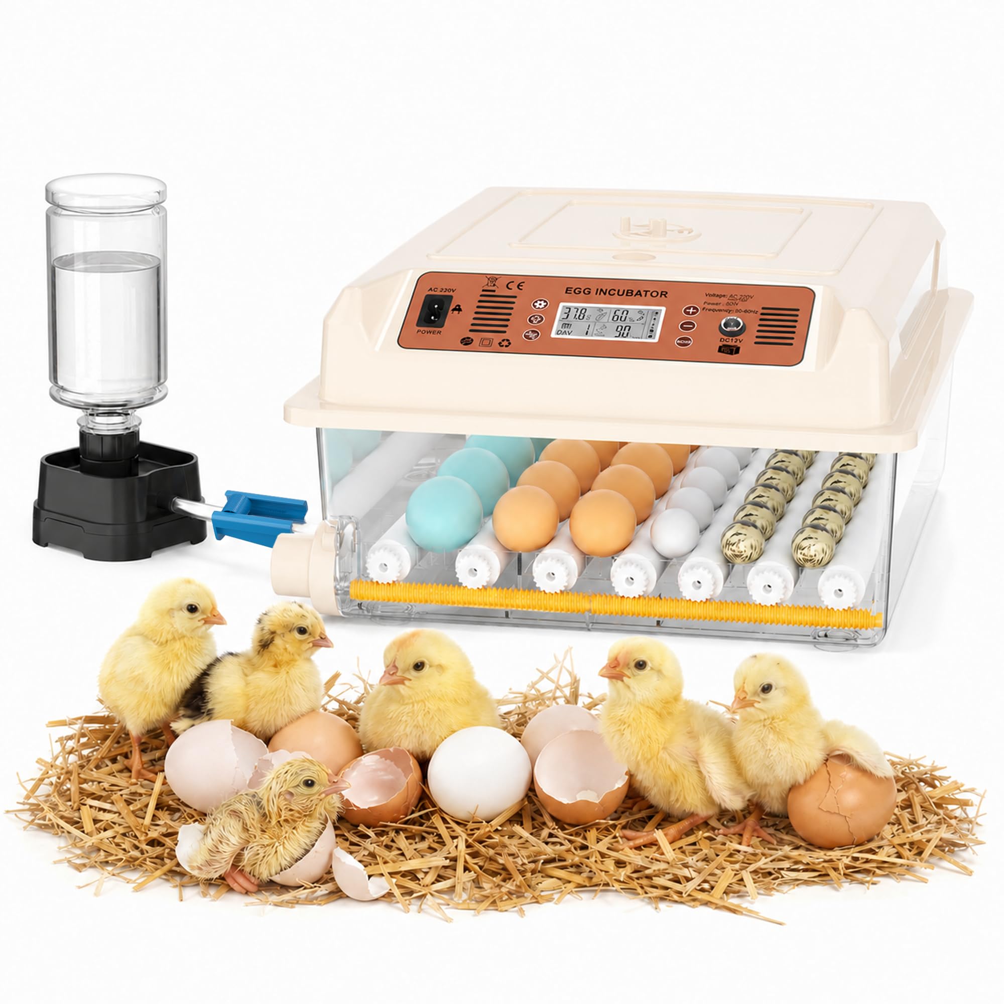 Chalixion incubatrice automatica 36 uova, 5 modalità cova auto, regolatore acqua esterno, controllo temperatura, rotazione uova auto, display cova, per galline anatre oche (Bianca)