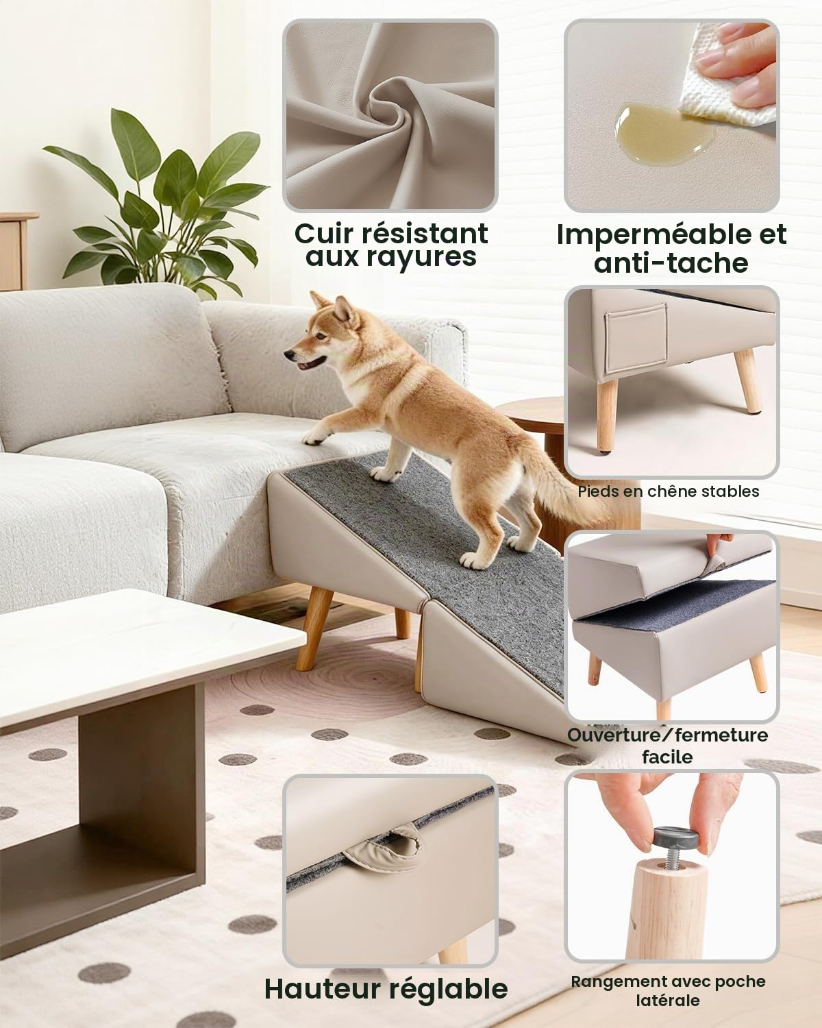 40 cm Rampe pour Chien pour Canapé et Lit 2 en 1, Inclinaison Douce 23° | Escalier pour Animal de Compagnie, pour Petits et Moyens Chiens et Chats, Rampe Antidérapante pour Chien Senior ou Blessé