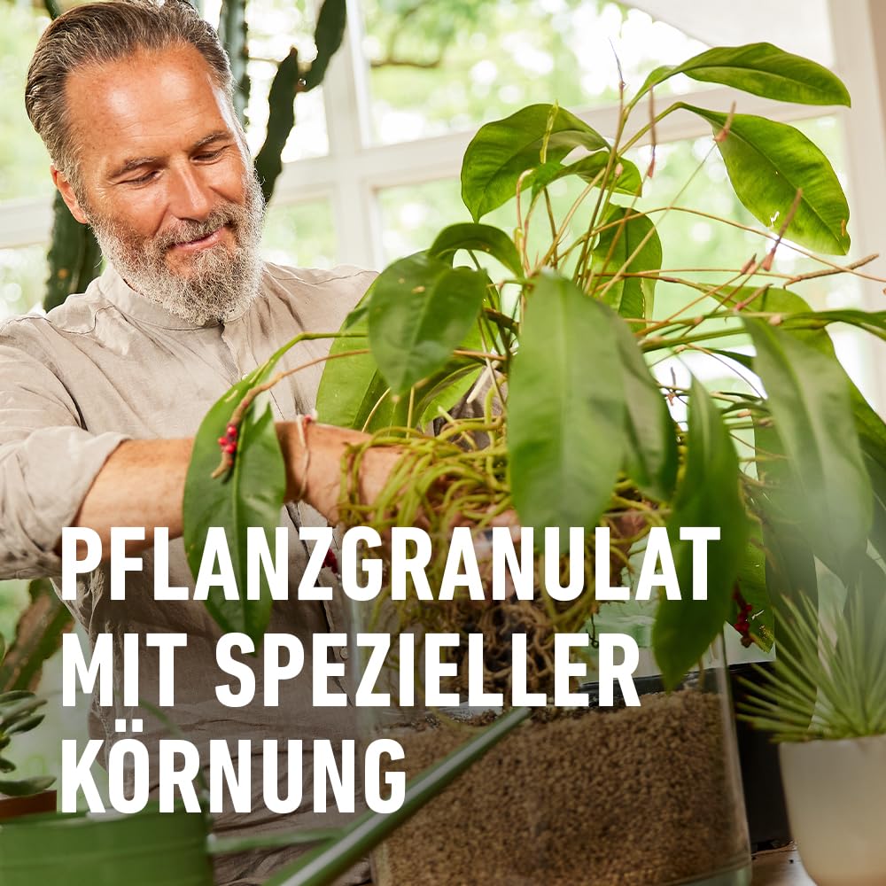COMPO Granuplant Bio - Granuli vegetali per interni – 100% naturale in pietra pomice – grana da 2 – 5 mm – 12,5 l