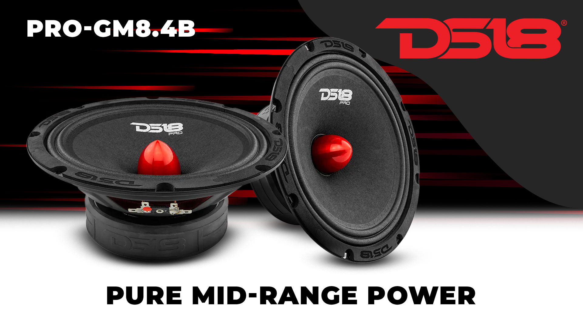 Amazon.com: DS18 2X PRO-GM8.4B Loudspeaker - 8