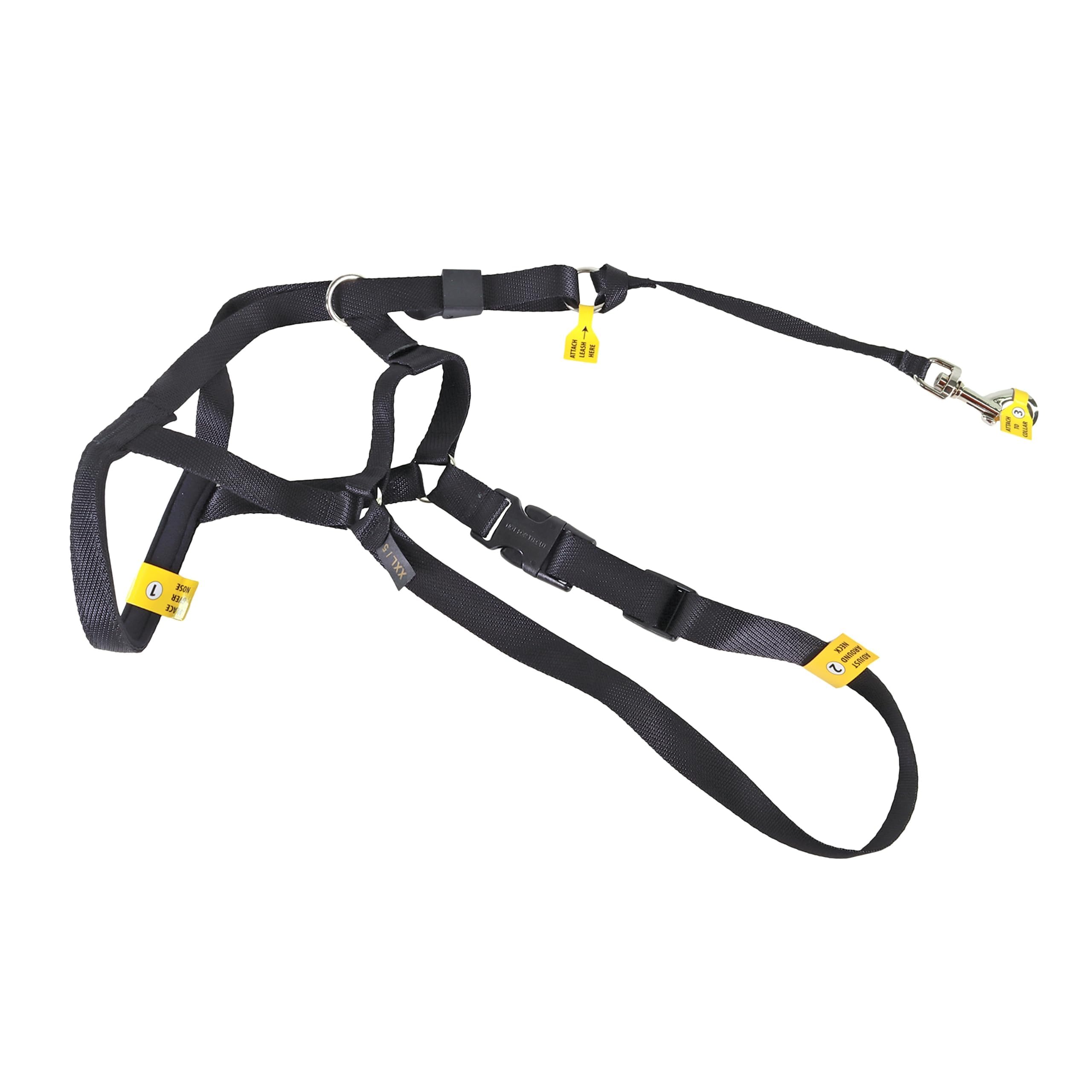 Coastal Pet Walk n Train Head Halter