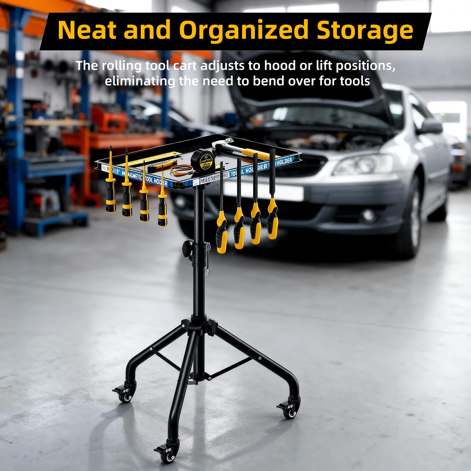 https://m.media-amazon.com/images/I/71gj4n+O3aL.jpg