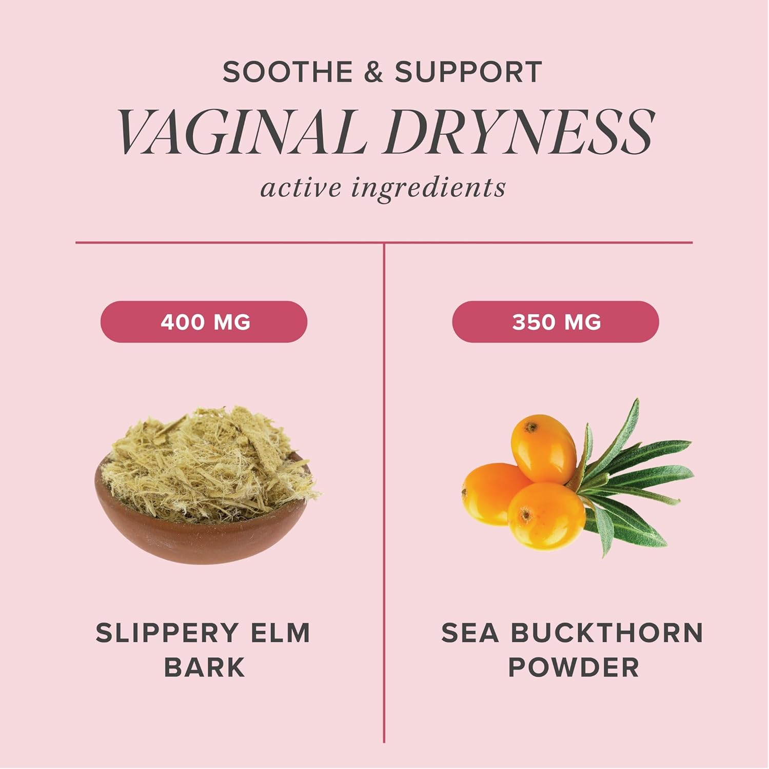 Slippery Elm for Women | Vaginal Moisture & Vaginal Dryness Support | Moisturizer for Female Comfort with Slippery Elm Bark & Sea Buckthorn | Moisture & Dryness Support | Non-GMO | 60 Capsules - Image 3