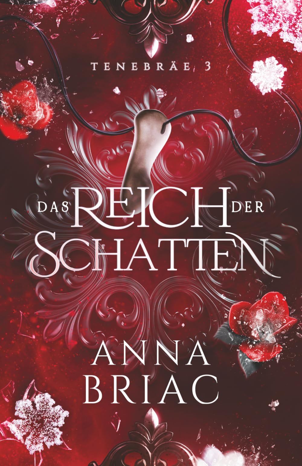 Das Reich der Schatten: Eine Reverse-Harem-Fantasy-Reihe (Tenebräe, Band 3)