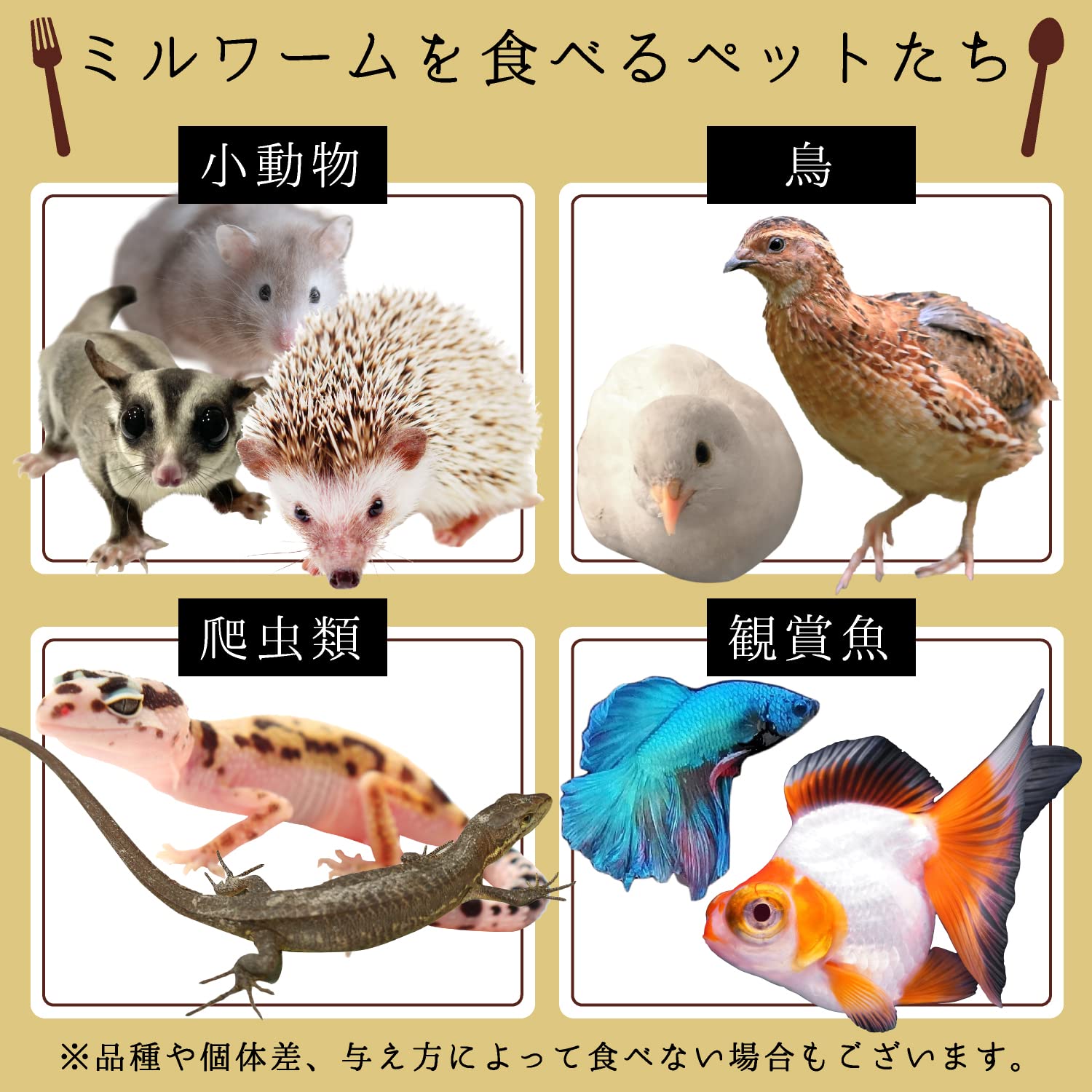 Amazon | 【安心の日本企業】高タンパク 高栄養 ドライミルワーム