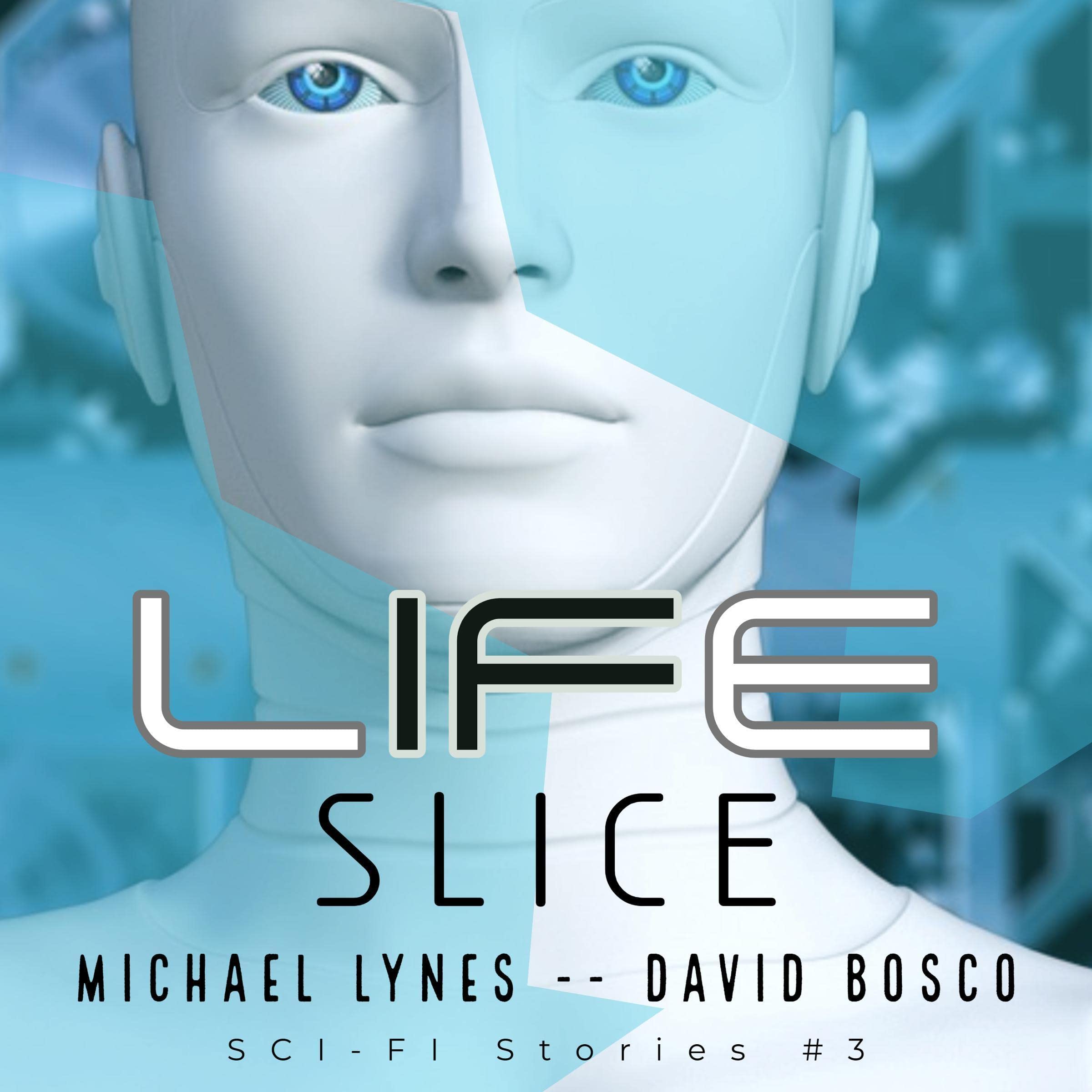Cover art for Life Slice