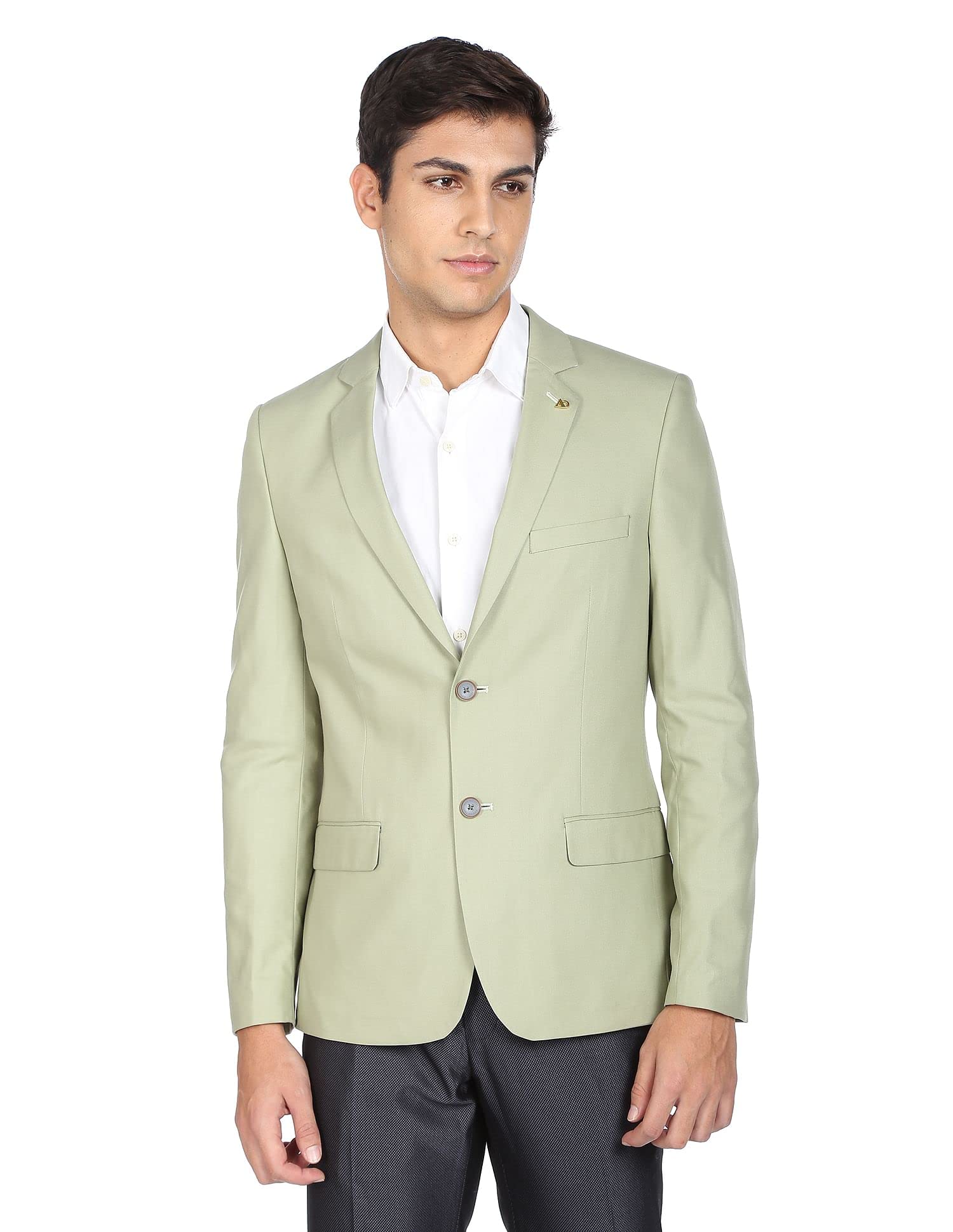 arvind Mens Blazer-picture-53