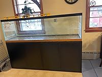 Review Image by Kim Lane Kim Lane