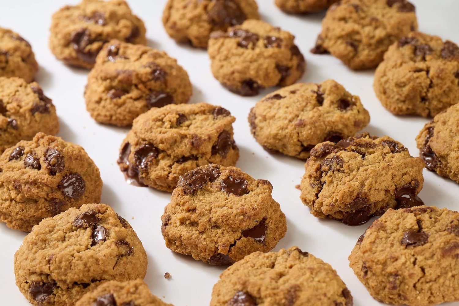 REAL Peanut Butter Chocolate Chip Mini Cookie Poppers – Bite-sized Gluten Free Baked Cookies – Dairy Free, Vegan, Kosher, Paleo – Delicious Mini Peanut Butter Chocolate Chip Cookies (4.5 oz, 6 Pack)