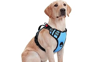 rabbitgoo Buzz Lightyear Dog Harness
