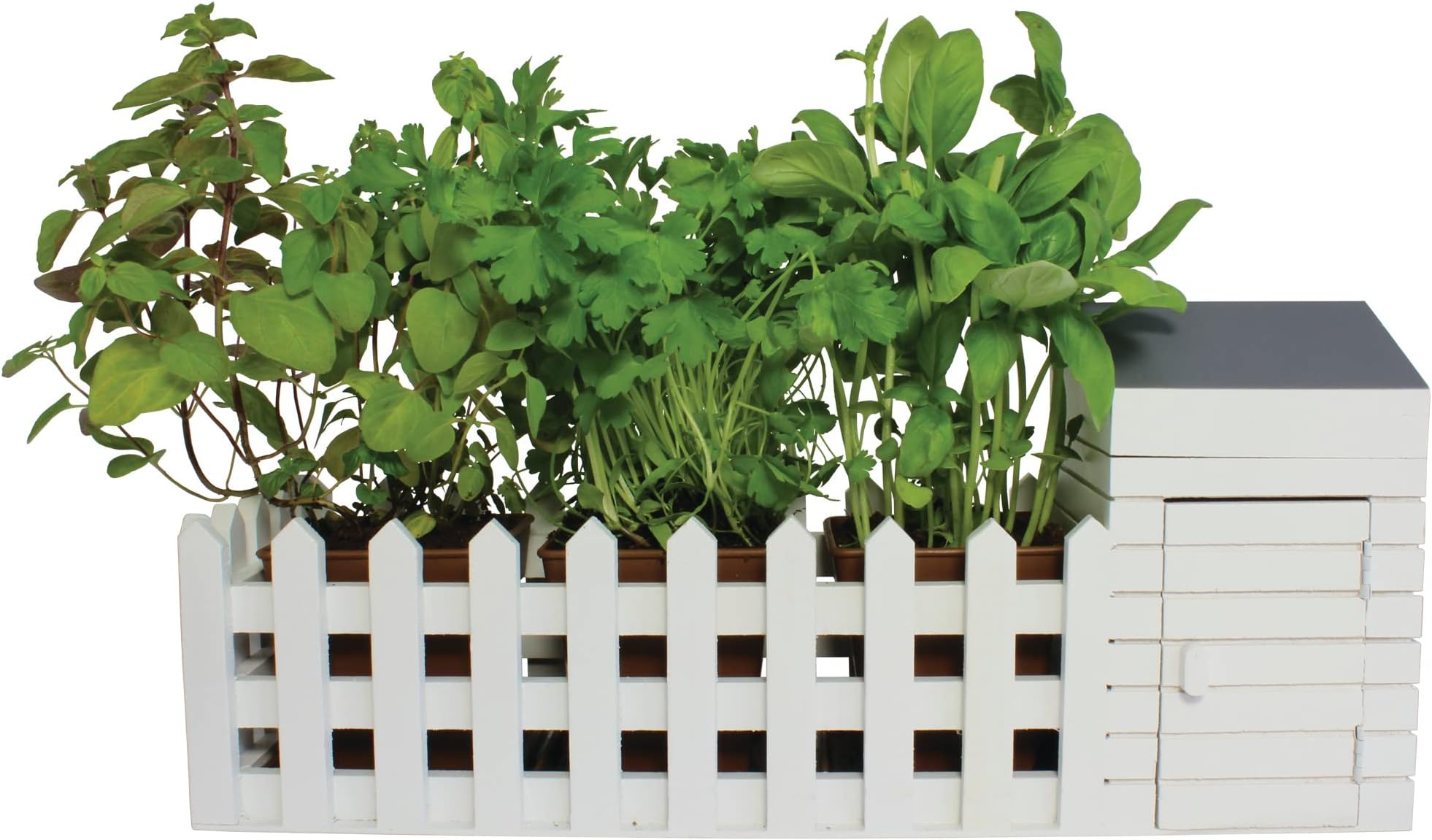 Indoor Allotment Gift Set Herb Garden
