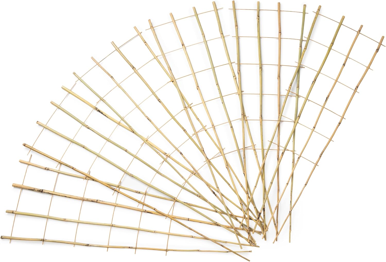 SWANGSA 6 Pack 4Ft Bamboo Trellis for Climbing Plants, Fan-Shaped Garden Ladder Trellis with 100pcs Twist Ties for Outdoor and Indoor Plant Support, Potted Plants, Cucumber, Tomato, Vine