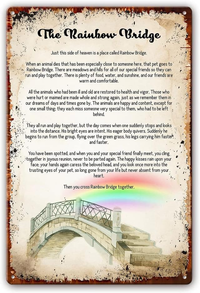 Geroclonup Metal Tin Sign Rainbow Bridge Poem Wall Art Inspirational Quotes Posters for Bathroom Artwork Prints Painting Decor Kitchen Decorations Wall Set Rectangle Picture Gifts 30x40cm-2024Y