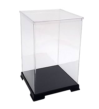 Amazon.co.jp: Collection Case