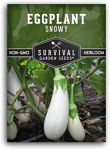 Paquete de 1 semilla de berenjena nevada para plantar, paquete con instrucciones para cultivar berenjenas blancas (berenjena) en el huerto de tu