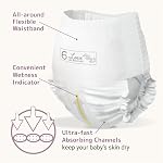 Culottes d'Entraînement Bambo Nature Premium Écologiques (TAILLLES 4 À 6 DISPONIBLES), Taille 6, 19 Compte