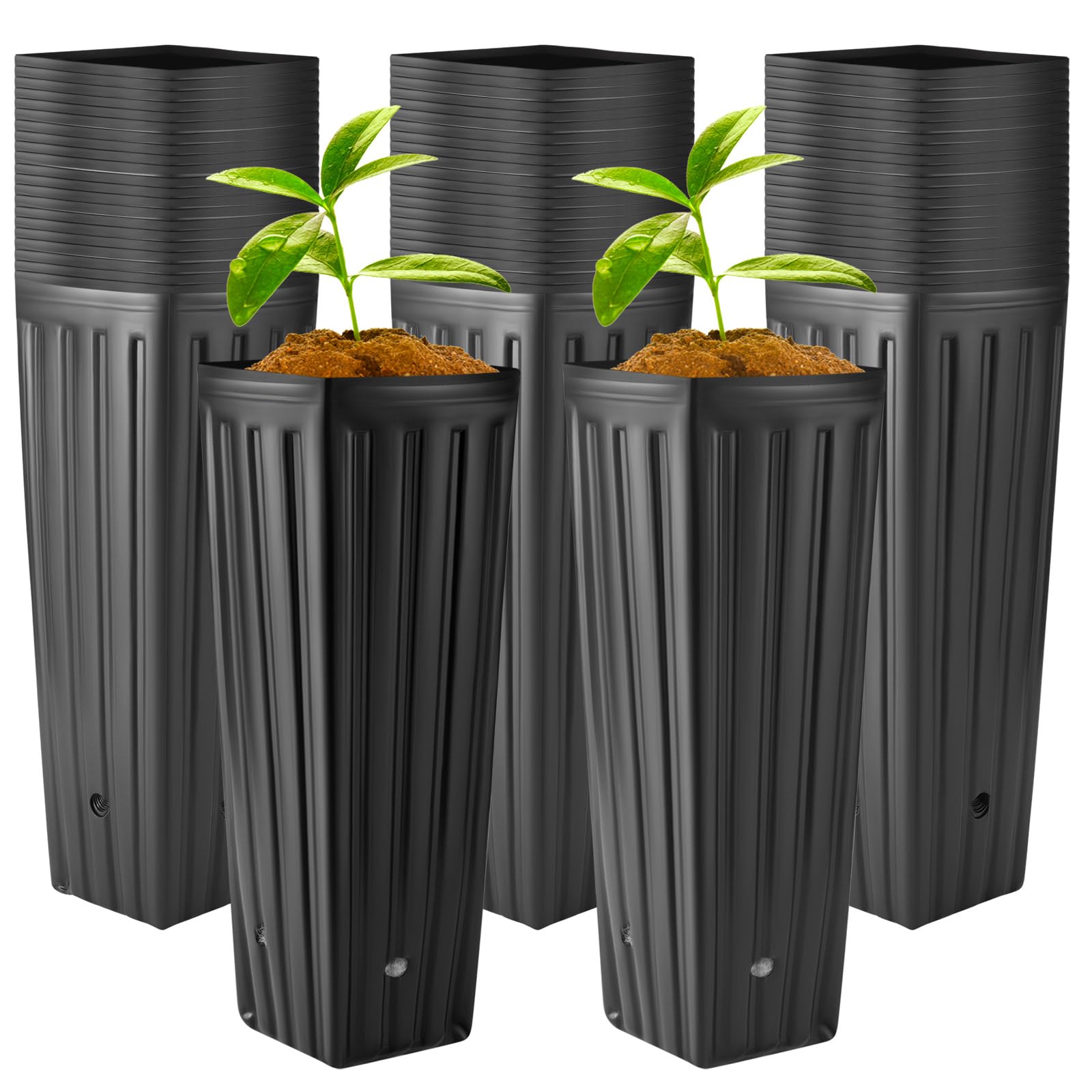 Nuenen 30 Pcs Tall Tree Pot Plastic Deep Plant Nursery Pots Black Seedling Treepots Flower Plant Container Starting Pots with Drainage Holes for Indoor Outdoor Gardening (11.8" H X 3.9" W)