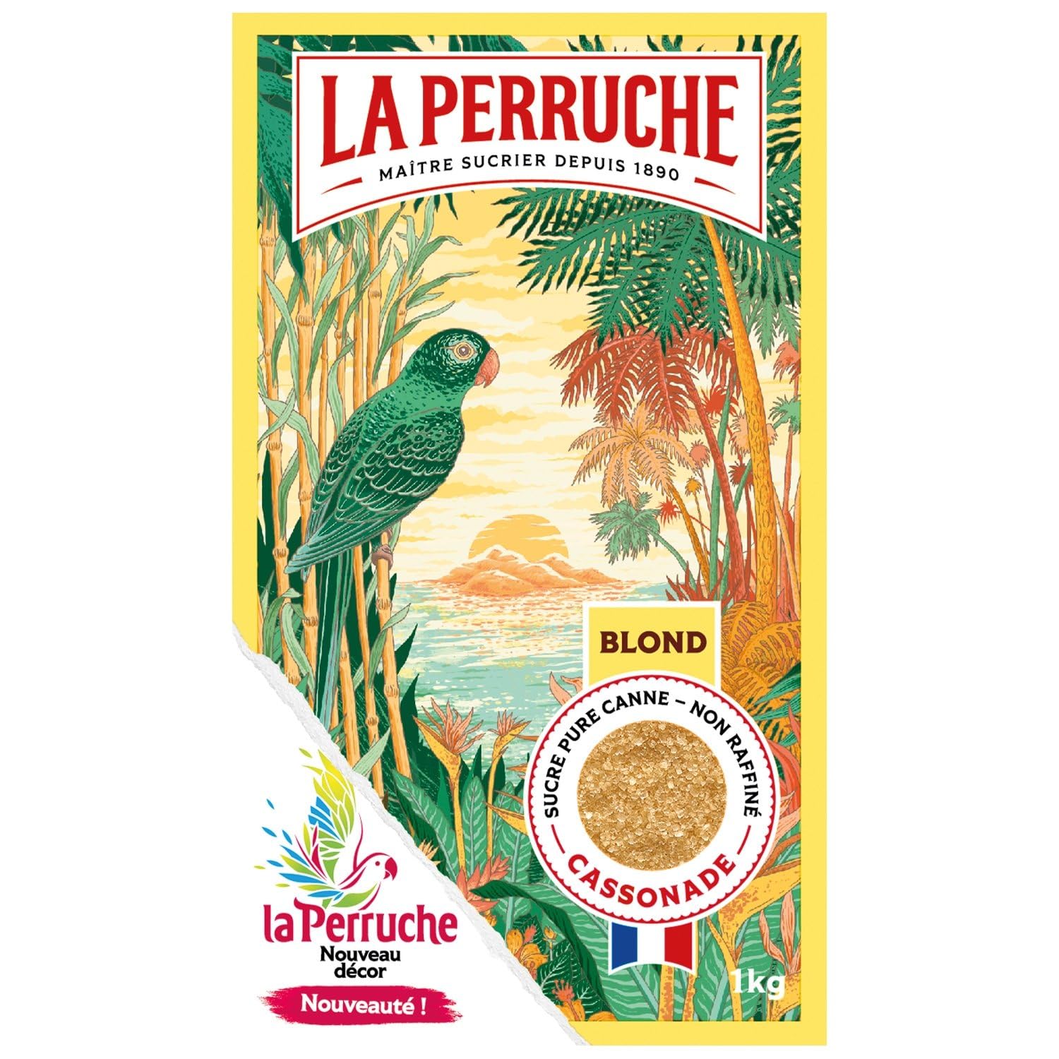 BEGHIN SAY – Sucre Blond Cassonade Gourmand, Texture Fondante pour Pâtisserie Maison (1kg) - Le Lot De 4