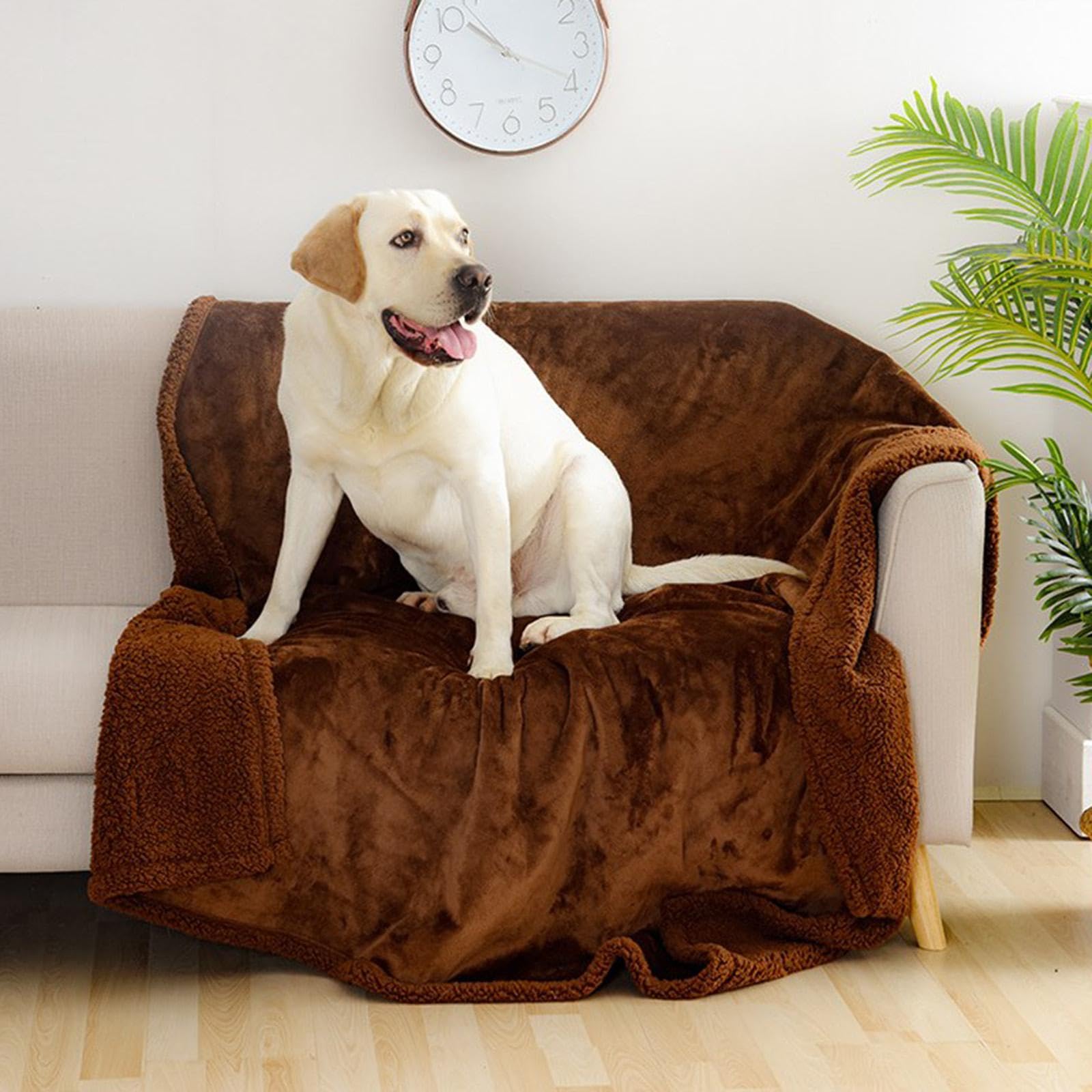 Couverture Imperméable Chien Plaid Réversible Tapis Animaux Flanelle Lavable à la Main et en Machine avec Protection pour Animaux de Compagnie sur, Marron M