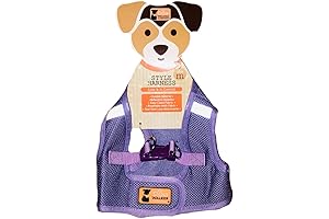 Reflective, Accent Adjustable Dog Harness