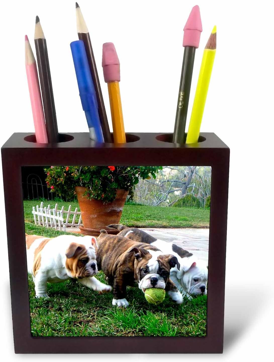3dRose ph_60013_1 English Bulldogs Play Ball-Tile Pen Holder, 5-Inch